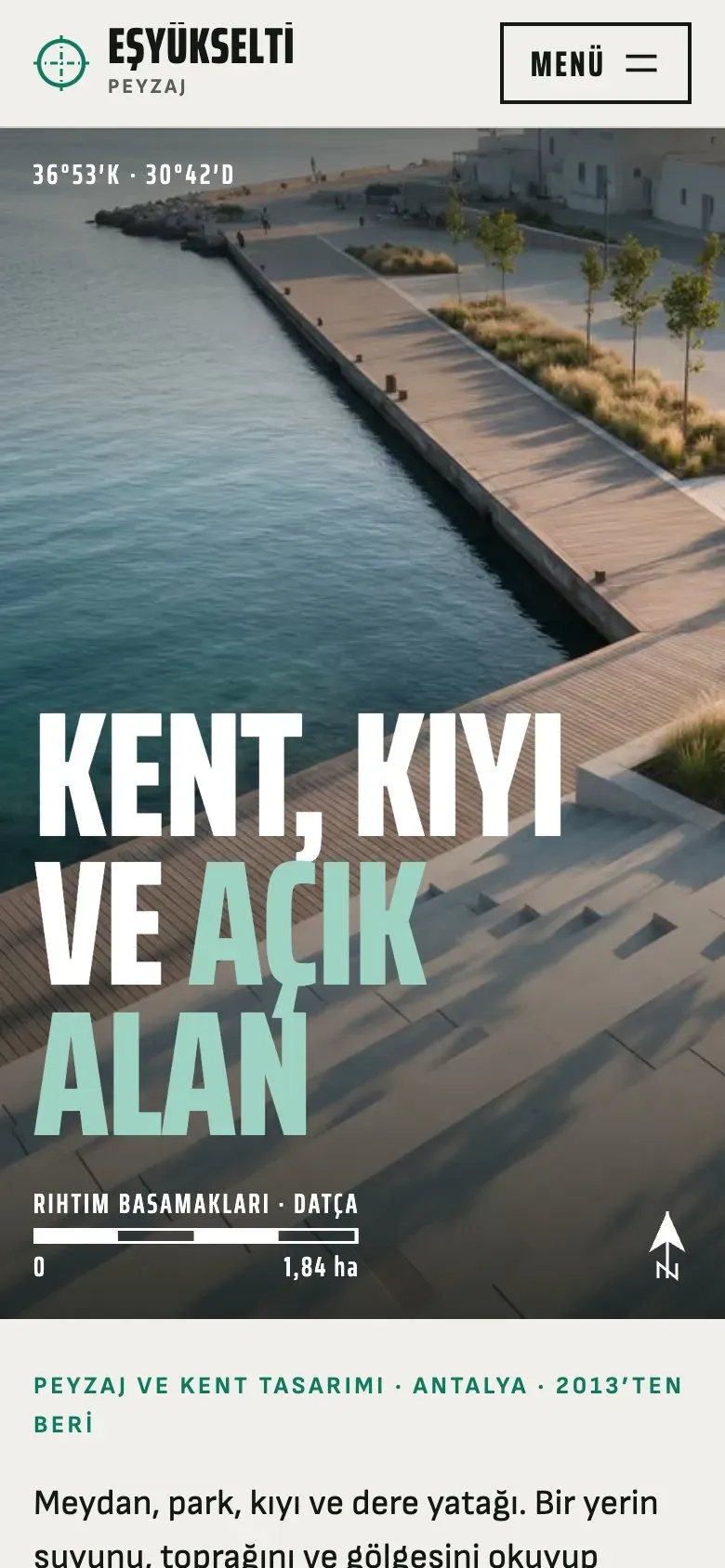 Aks teması telefonda: giriş ekranı