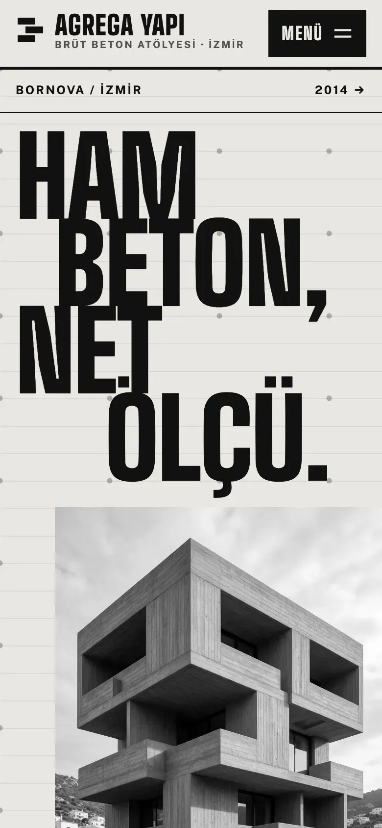 Brüt teması telefonda: giriş ekranı