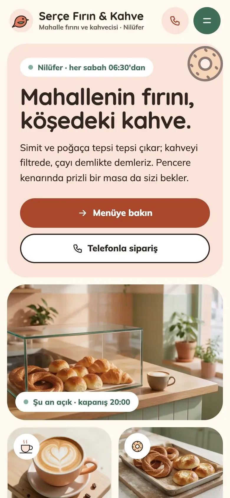 Demlik teması telefonda: giriş ekranı