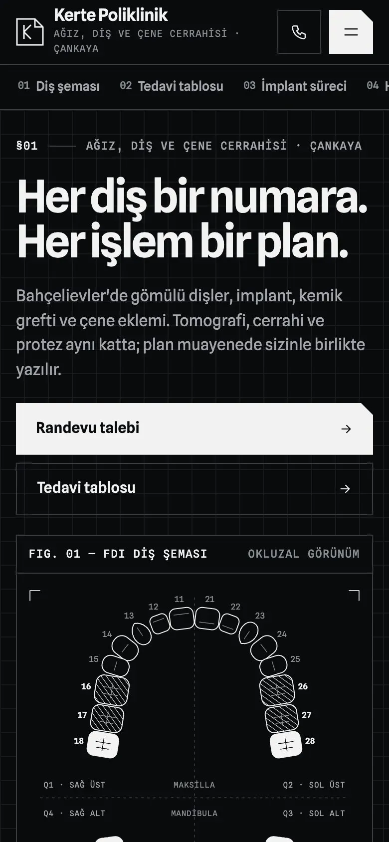 Kesik teması telefonda: giriş ekranı
