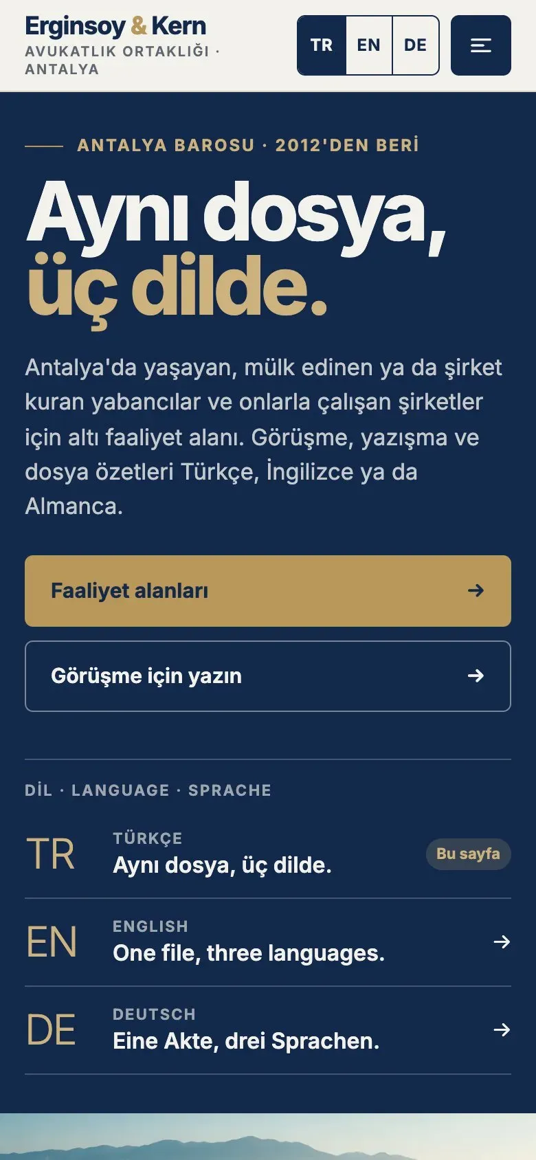 Lisan teması telefonda: giriş ekranı