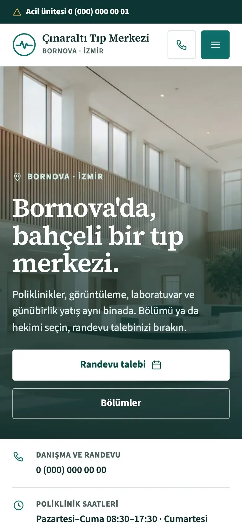 Nabız teması telefonda: giriş ekranı