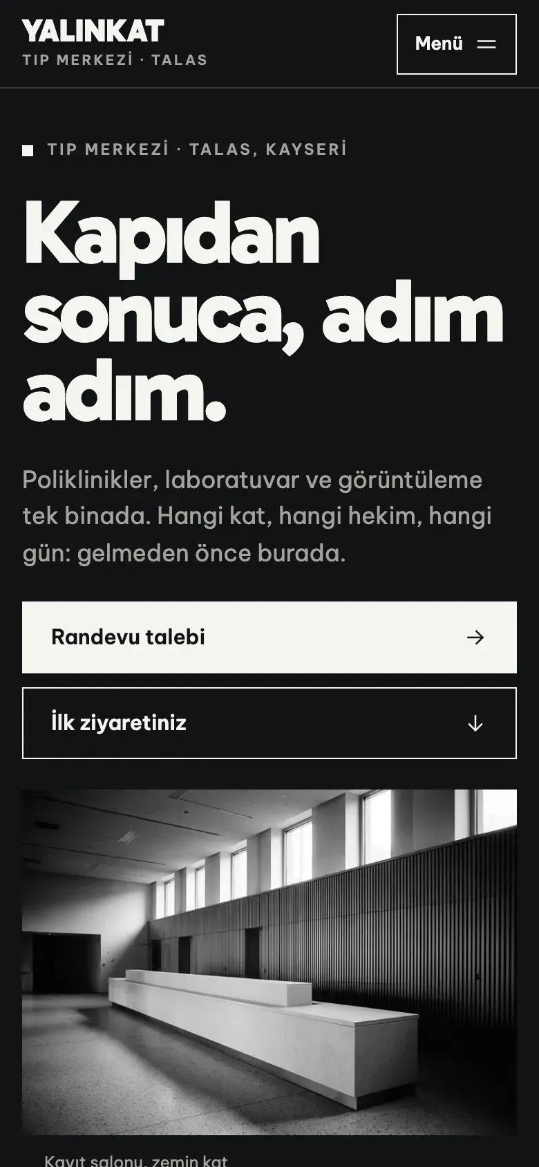 Vizit teması telefonda: giriş ekranı