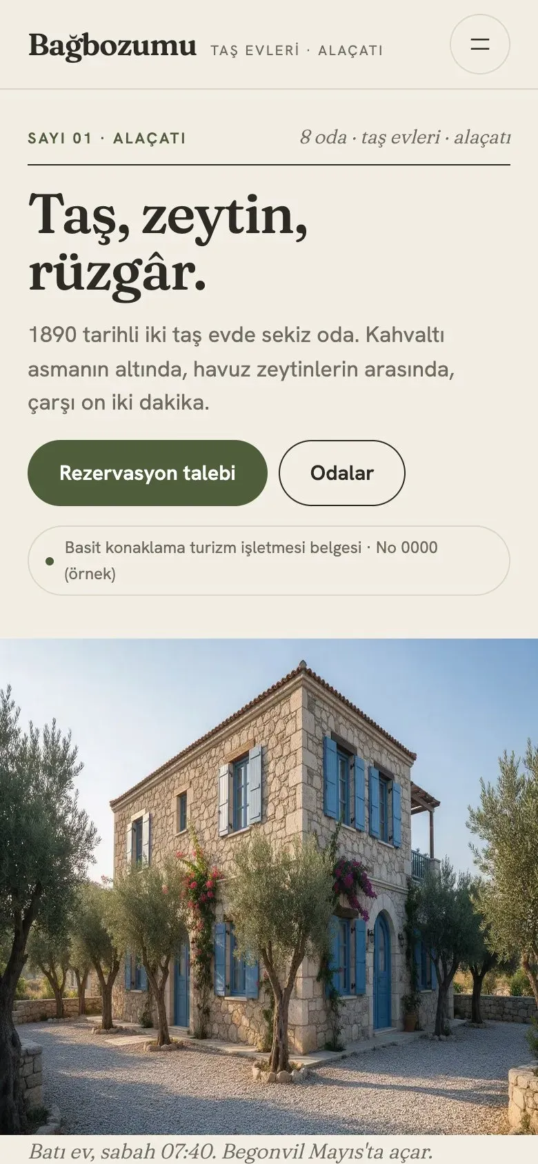 Zeytin teması telefonda: giriş ekranı